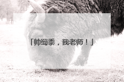 帅蜀黍，我老师！