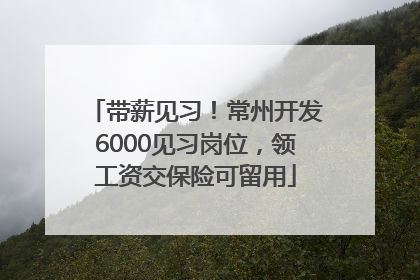 带薪见习！常州开发6000见习岗位，领工资交保险可留用