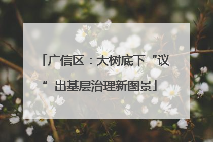广信区：大树底下“议”出基层治理新图景
