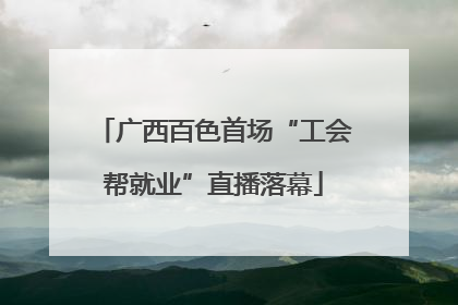广西百色首场“工会帮就业”直播落幕