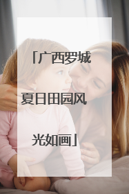广西罗城夏日田园风光如画