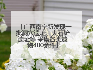 广西南宁新发现一批洞穴遗址、大石铲遗址等 采集各类遗物400余件