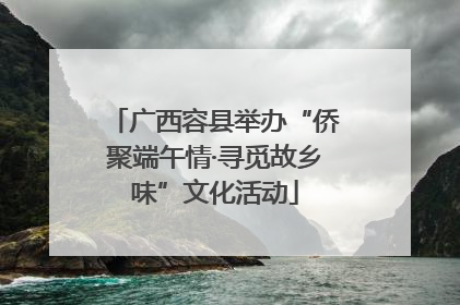 广西容县举办“侨聚端午情·寻觅故乡味”文化活动