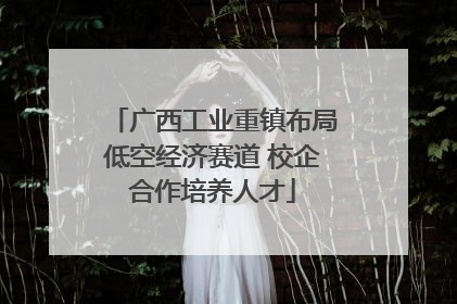 广西工业重镇布局低空经济赛道 校企合作培养人才