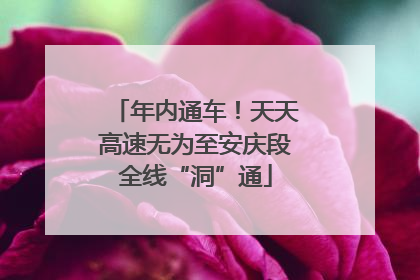 年内通车！天天高速无为至安庆段全线“洞”通