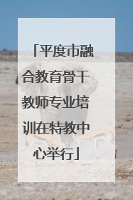 平度市融合教育骨干教师专业培训在特教中心举行