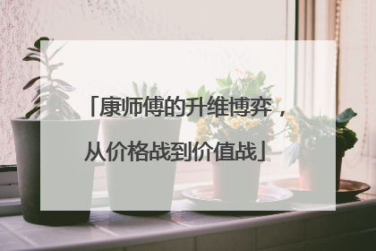 康师傅的升维博弈，从价格战到价值战
