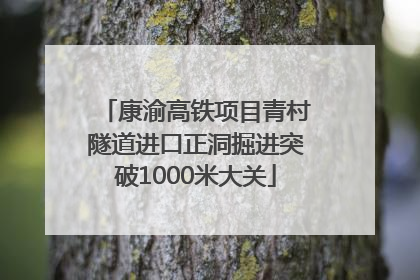 康渝高铁项目青村隧道进口正洞掘进突破1000米大关