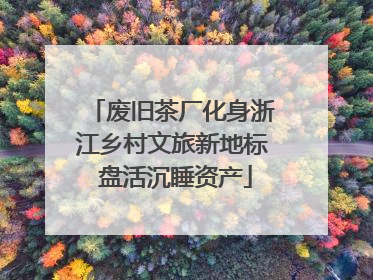 废旧茶厂化身浙江乡村文旅新地标 盘活沉睡资产