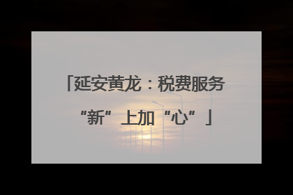 延安黄龙：税费服务“新”上加“心”