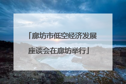 廊坊市低空经济发展座谈会在廊坊举行