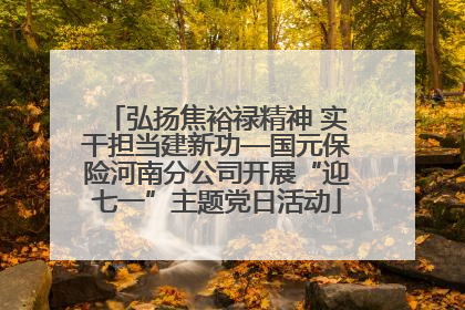 弘扬焦裕禄精神 实干担当建新功—国元保险河南分公司开展“迎七一”主题党日活动