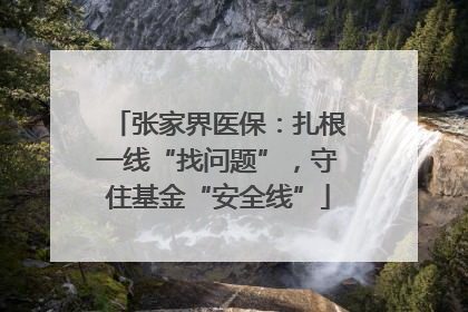 张家界医保：扎根一线“找问题”，守住基金“安全线”