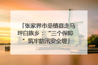 张家界市桑植县走马坪白族乡：“三个保障”筑牢防汛安全堤