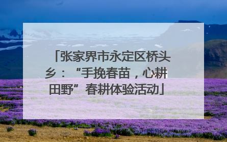 张家界市永定区桥头乡：“手挽春苗，心耕田野”春耕体验活动