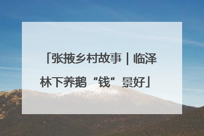 张掖乡村故事｜临泽林下养鹅“钱”景好