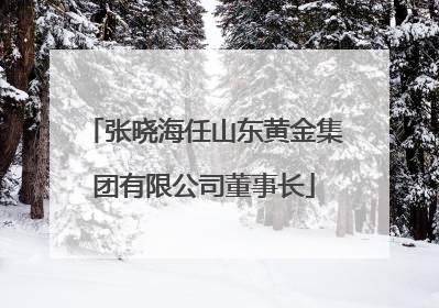 张晓海任山东黄金集团有限公司董事长