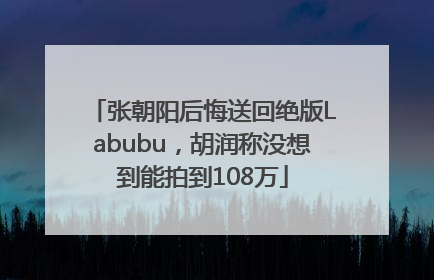 张朝阳后悔送回绝版Labubu，胡润称没想到能拍到108万