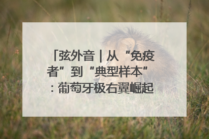 弦外音｜从“免疫者”到“典型样本”：葡萄牙极右翼崛起背后的欧洲困局