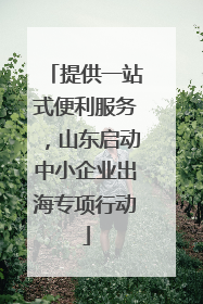 提供一站式便利服务，山东启动中小企业出海专项行动
