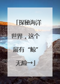 探秘海洋世界，这个展有“鲸”无险→