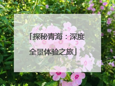 探秘青海：深度全景体验之旅