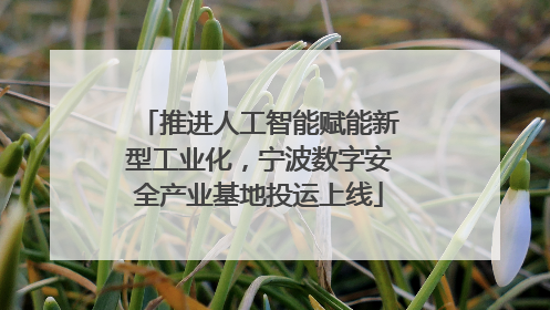 推进人工智能赋能新型工业化，宁波数字安全产业基地投运上线