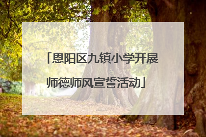 恩阳区九镇小学开展师德师风宣誓活动