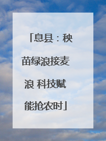 息县：秧苗绿浪接麦浪 科技赋能抢农时