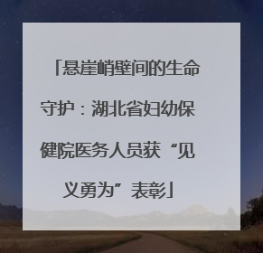悬崖峭壁间的生命守护：湖北省妇幼保健院医务人员获“见义勇为”表彰