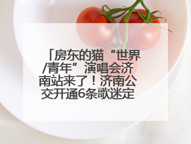 房东的猫“世界/青年”演唱会济南站来了！济南公交开通6条歌迷定制专线