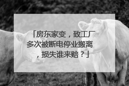 房东家变，致工厂多次被断电停业搬离，损失谁来赔？
