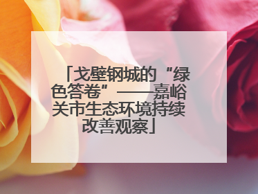 戈壁钢城的“绿色答卷”——嘉峪关市生态环境持续改善观察