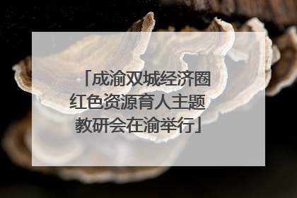 成渝双城经济圈红色资源育人主题教研会在渝举行