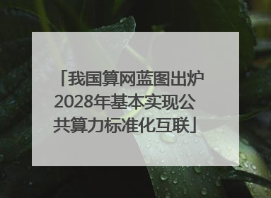 我国算网蓝图出炉 2028年基本实现公共算力标准化互联
