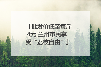 批发价低至每斤4元 兰州市民享受“荔枝自由”
