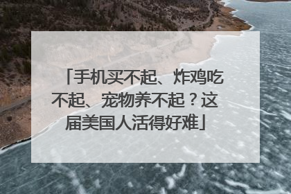手机买不起、炸鸡吃不起、宠物养不起？这届美国人活得好难