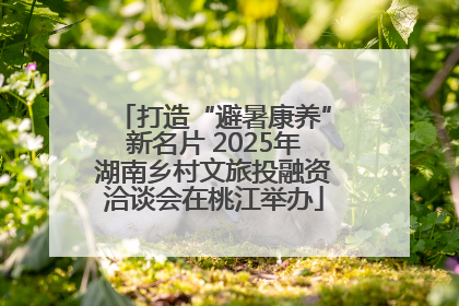 打造“避暑康养”新名片 2025年湖南乡村文旅投融资洽谈会在桃江举办