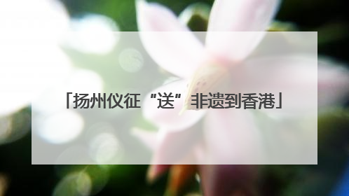 扬州仪征“送”非遗到香港