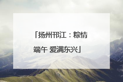 扬州邗江：粽情端午 爱满东兴