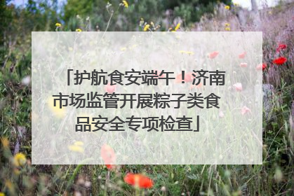 护航食安端午！济南市场监管开展粽子类食品安全专项检查