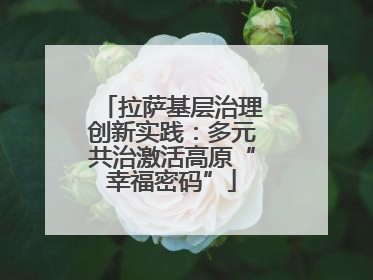 拉萨基层治理创新实践：多元共治激活高原“幸福密码”