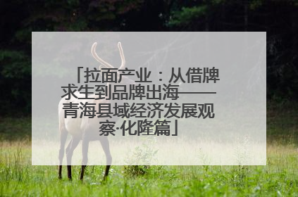 拉面产业：从借牌求生到品牌出海——青海县域经济发展观察·化隆篇
