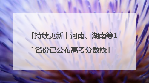 持续更新︱河南、湖南等11省份已公布高考分数线