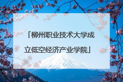 柳州职业技术大学成立低空经济产业学院