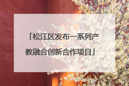 松江区发布一系列产教融合创新合作项目