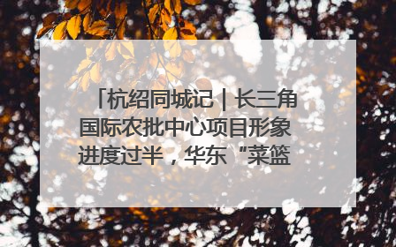 杭绍同城记｜长三角国际农批中心项目形象进度过半，华东“菜篮子”建设加码提速！