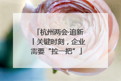 杭州两会·追新丨关键时刻，企业需要“拉一把”