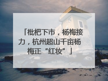 枇杷下市，杨梅接力，杭州超山千亩杨梅正“红妆”