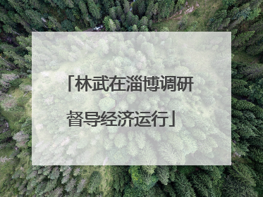 林武在淄博调研督导经济运行